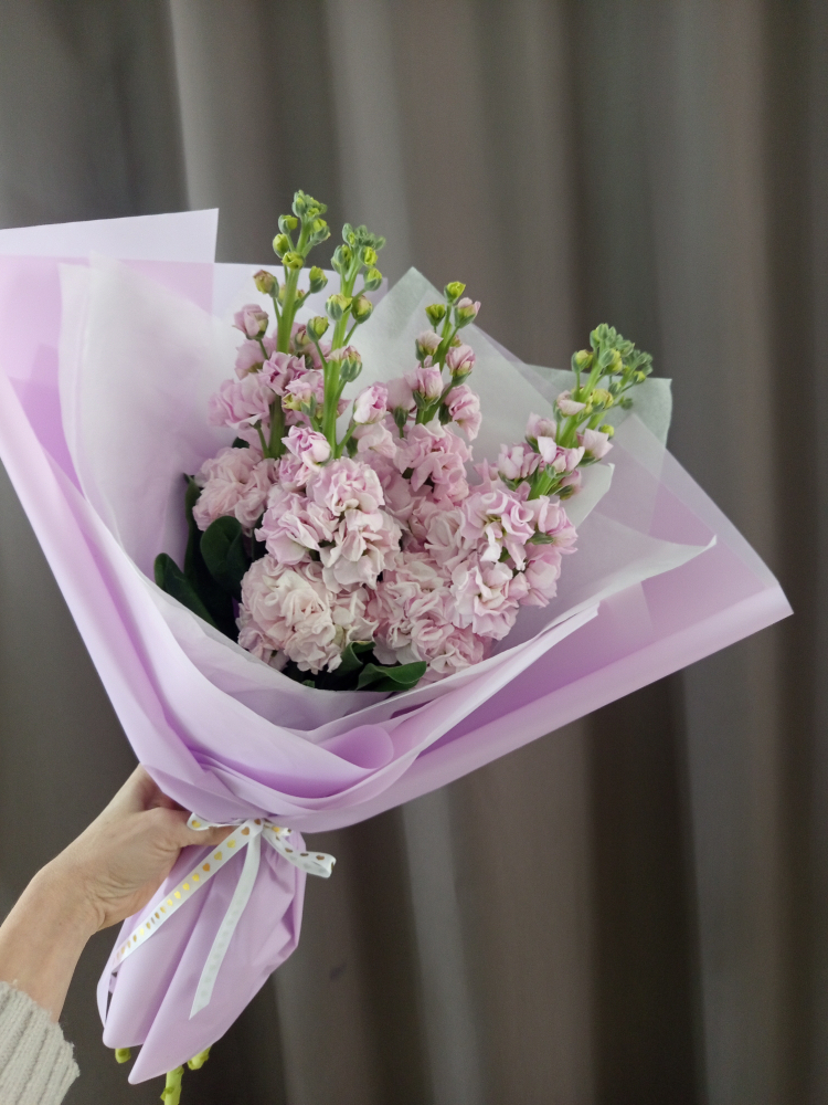 Монобукет из 5 ароматных матиолл