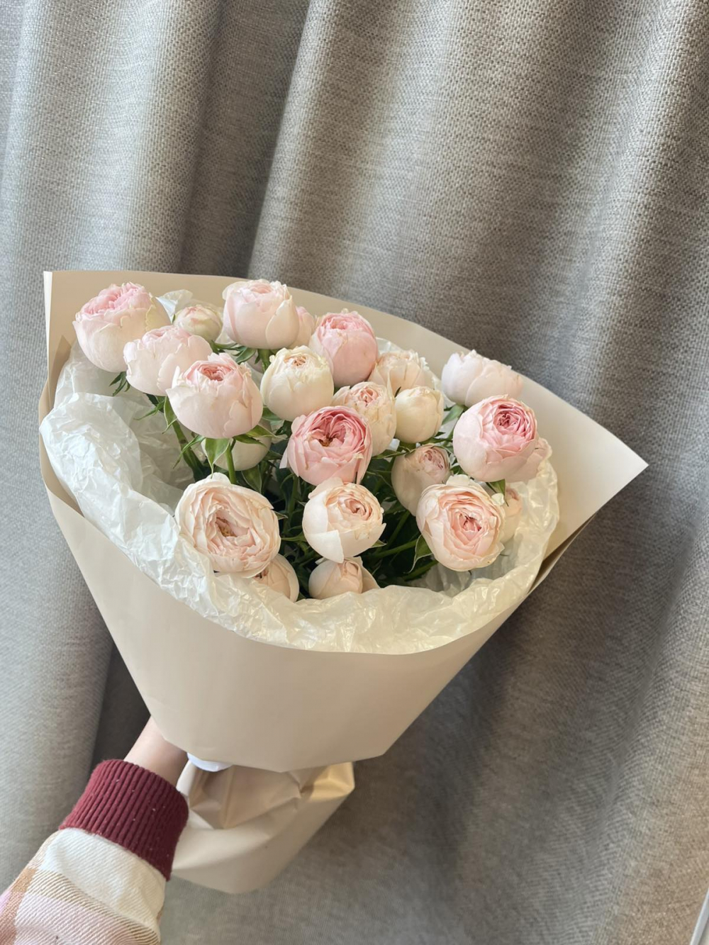 5 нежных пионовидных кустовых роз 