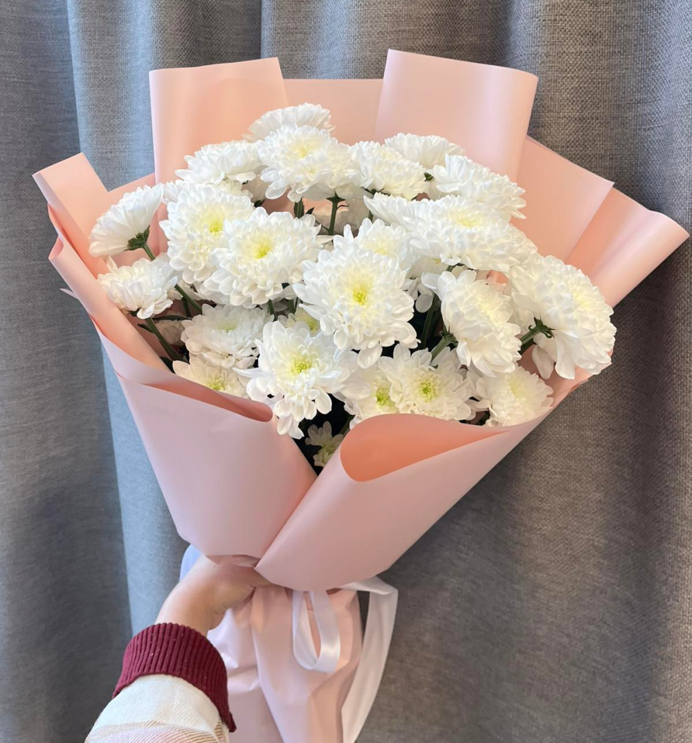 5 нежных Хризантем, сорт алтай