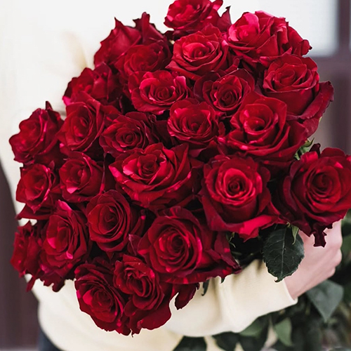 Букет из 25 роз,Red Panter, 70 см, Эквадор 